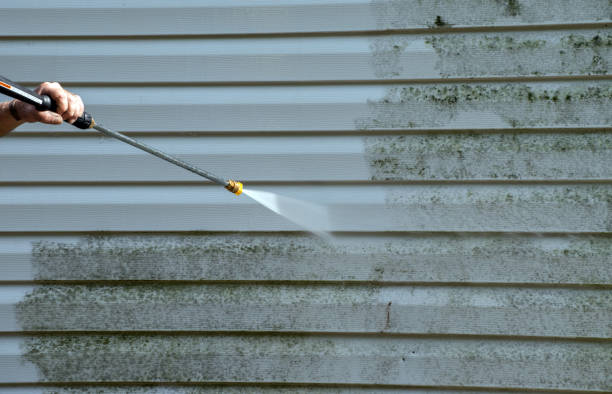 Home Mold Removal in Trenton, MI